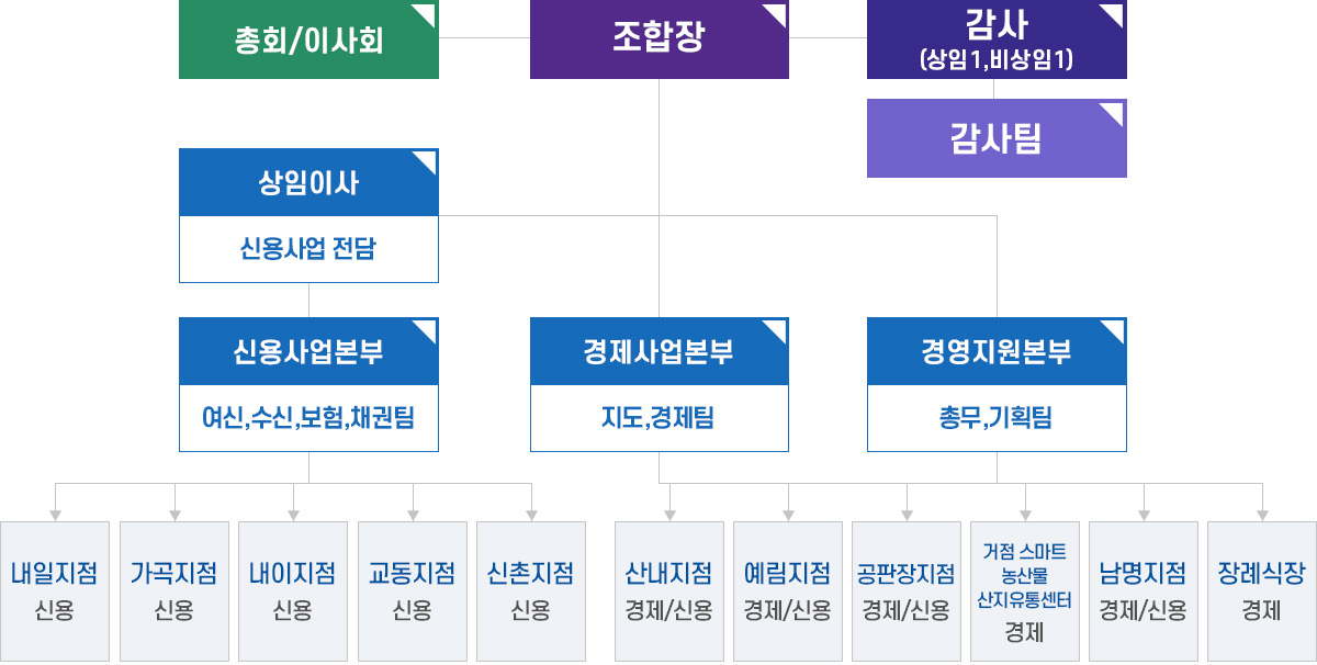 일반현황
